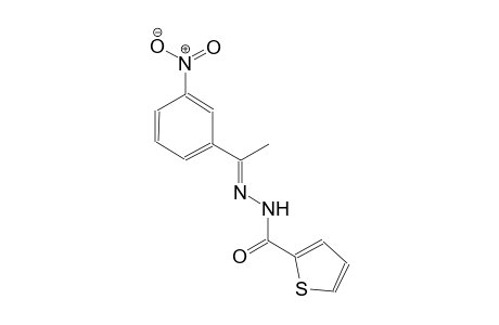 N'-[(E)-1-(3-nitrophenyl)ethylidene]-2-thiophenecarbohydrazide