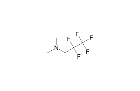 N,N-DIMETHYL-(2,2,3,3,3-PENTAFLUOROPROPYL)-AMINE