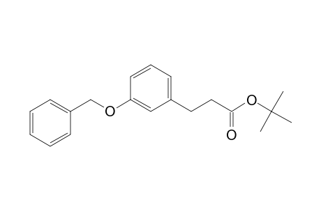 tert-Butyl 3-[3-(Benzyloxy)phenyl]propanoate