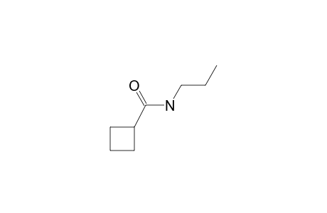 Cyclobutanecarboxamide, N-propyl-