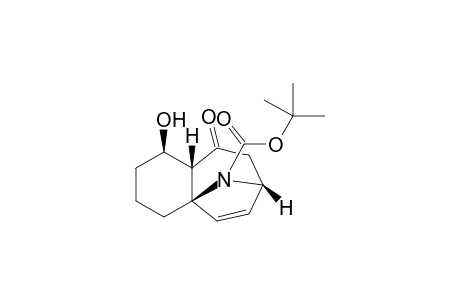 tert-Butyl (1R*,4aR*,7R*,9aR*)-1-hydroxy-9-oxo-1,2,3,4,7,8,9,9a-octahydro-4a,7-epiminobenzo[7]- annulene-10-carboxylate