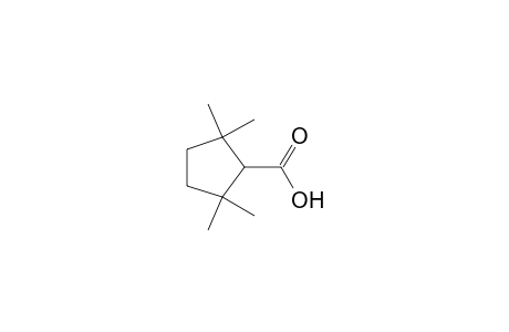 Cyclopentanecarboxylic acid, 2,2,5,5-tetramethyl-