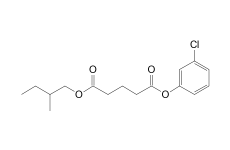 Glutaric acid, 3-chlorophenyl 2-methylbutyl ester