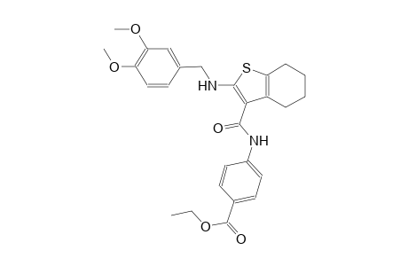 benzoic acid, 4-[[[2-[[(3,4-dimethoxyphenyl)methyl]amino]-4,5,6,7-tetrahydrobenzo[b]thien-3-yl]carbonyl]amino]-, ethyl ester