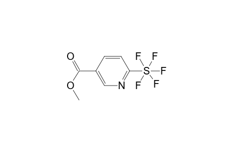 Methyl 6-(pentafluoro-.lambda.6-sulfanyl)nicotinate