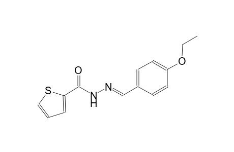 N'-[(E)-(4-ethoxyphenyl)methylidene]-2-thiophenecarbohydrazide
