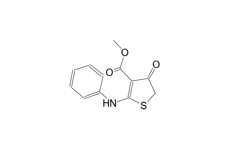 methyl 2-anilino-4-oxo-4,5-dihydro-3-thiophenecarboxylate
