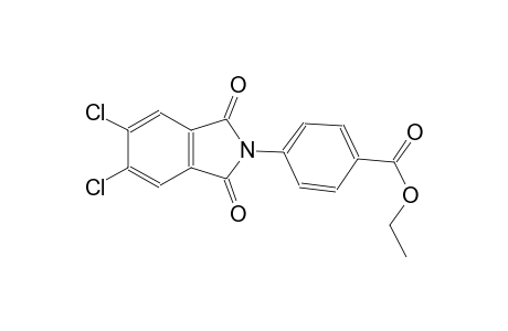 ethyl 4-(5,6-dichloro-1,3-dioxo-1,3-dihydro-2H-isoindol-2-yl)benzoate