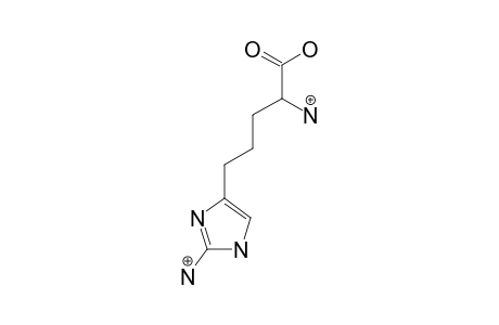 2-AMINO-5-(2-AMINOIMIDAZOL-4-YL)-PENTANOIC_ACID;A4P
