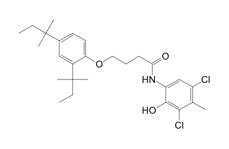 Butanamide, 4-[2,4-bis(1,1-dimethylpropyl)phenoxy]-N-(3,5-dichloro-2-hydroxy-4-methylphenyl)-