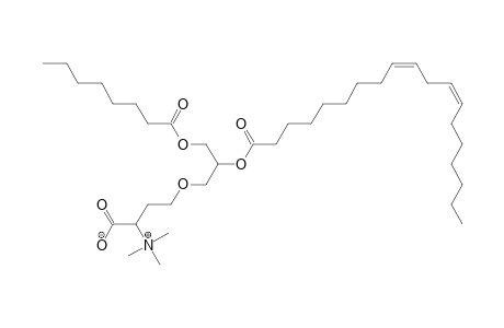 DGTS 8:0_19:2