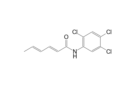 (2E,4E)-N-(2,4,5-trichlorophenyl)-2,4-hexadienamide