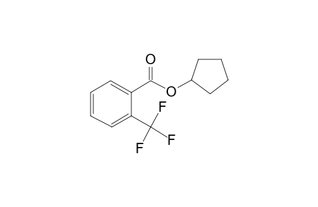 Cyclopentyl 2-(trifluoromethyl)benzoate