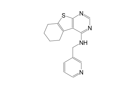 N-(3-pyridinylmethyl)-5,6,7,8-tetrahydro[1]benzothieno[2,3-d]pyrimidin-4-amine