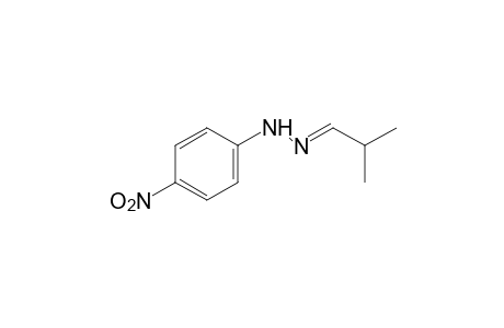 isobutyraldehyde, (p-nitrophenyl)hydrazone