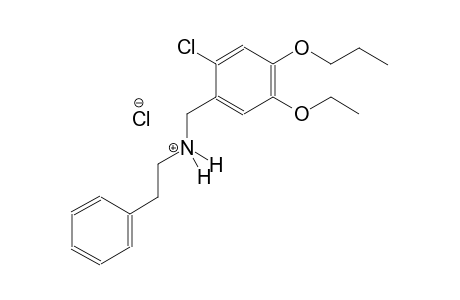 N-(2-chloro-5-ethoxy-4-propoxybenzyl)-2-phenylethanaminium chloride