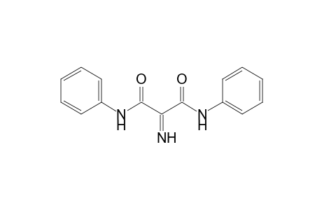 2-Iminomalonyl-dianilide