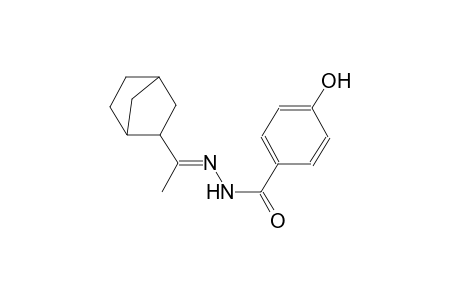 N'-[(E)-1-bicyclo[2.2.1]hept-2-ylethylidene]-4-hydroxybenzohydrazide