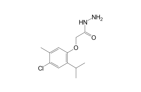 2-(4-Chloranyl-5-methyl-2-propan-2-yl-phenoxy)ethanehydrazide