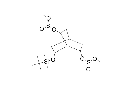 Bicyclo[2.2.2]octane-6,7-diol, 2-(t-butyldimethylsilyloxy)-6,7-bis(methylsulfite)