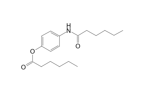 4-(Hexanoylamino)phenyl hexanoate