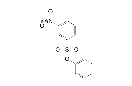 Benzenesulfonic acid, 3-nitro-, phenyl ester