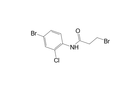 Propanamide, 3-bromo-N-(4-bromo-2-chlorophenyl)-