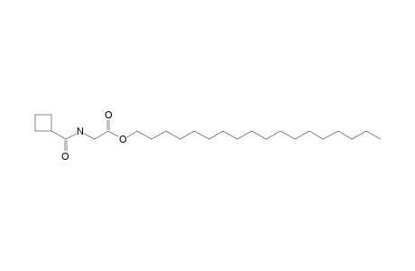 Glycine, N-(cyclobutylcarbonyl)-, octadecyl ester