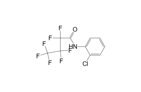N-(2-chlorophenyl)-2,2,3,3,4,4,4-heptafluoro-butanamide