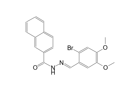 N'-[(E)-(2-bromo-4,5-dimethoxyphenyl)methylidene]-2-naphthohydrazide