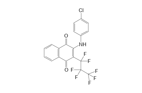 2-(4-Chloroanilino)-3-(perfluoropropyl)-1,4-naphthoquinone