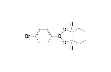 1,3,2-Benzodioxaborole, 2-(4-bromophenyl)hexahydro-, cis-