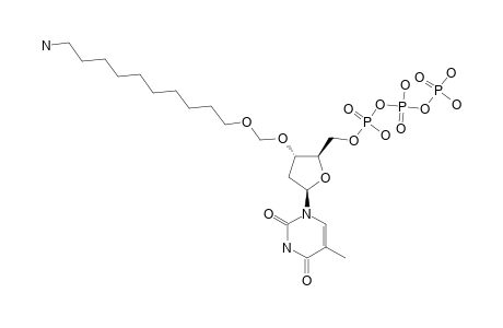 3'-O-(OMEGA-AMINODECOYLMETHYL)-THYMIDINE_5'-TRIPHOSPHATE