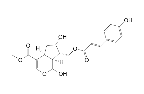 (E)-10-[(p-Hydroxycinnamoyl)oxy]-Loganigenine