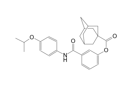 3-[(4-isopropoxyanilino)carbonyl]phenyl 1-adamantanecarboxylate