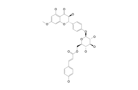 7-METHYLAROMADENDRIN-4'-O-(6''-TRANS-PARA-COUMAROYL)-BETA-D-GLUCOPYRANOSIDE