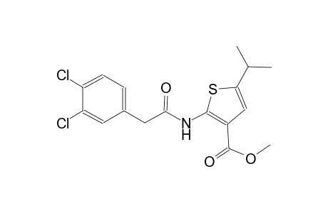 methyl 2-{[(3,4-dichlorophenyl)acetyl]amino}-5-isopropyl-3-thiophenecarboxylate