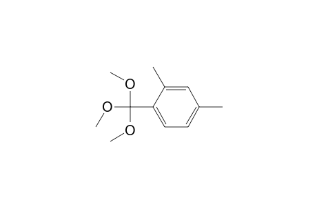 2,4-Dimethyl-1-(trimethoxymethyl)benzene