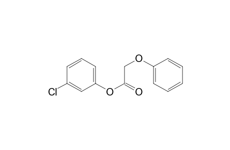 Acetic acid, phenoxy-, 3-chlorophenyl ester