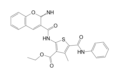 Ethyl 2-(2-imino-2H-chromene-3-carboxamido)-4-methyl-5-(phenylcarbamoyl) thiophene-3-carboxylate