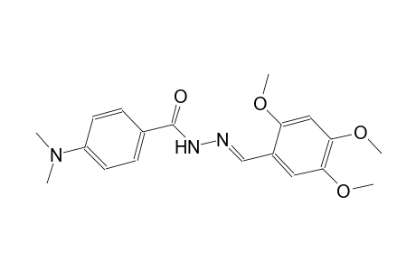 4-(dimethylamino)-N'-[(E)-(2,4,5-trimethoxyphenyl)methylidene]benzohydrazide