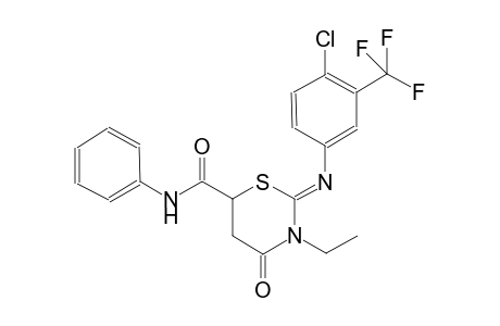 (2Z)-2-{[4-chloro-3-(trifluoromethyl)phenyl]imino}-3-ethyl-4-oxo-N-phenyltetrahydro-2H-1,3-thiazine-6-carboxamide