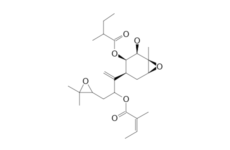 8-ANGELOYLOXY-3-BETA,4-BETA,10,11-BISEPOXY-1-BETA-(2-METHYLBUTYRYLOXY)-BISABOL-7-(14)-ENE-2-BETA-OL