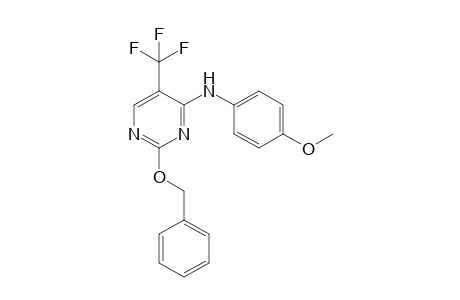 2-benzyloxy-4-(4-methoxyphenylamino)-5-(trifluoromethyl)pyrimidine