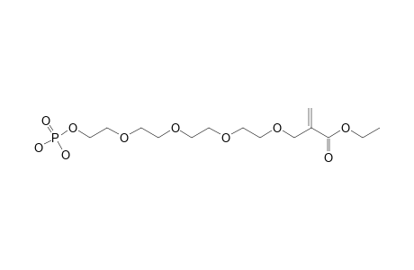 ETHYL-2-(13-PHOSPHONOOXY-2,5,8,11-TETRAOXATRIDECYL)-ACRYLATE
