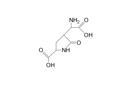 3(R)-[1'(S)-Aminocarboxymethyl]-2-pyrrolidinone-5(S)-carboxylic acid
