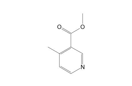 4-METHYL,3-METHOXYCARBONYLPYRIDINE