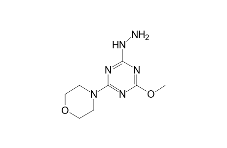 (4-Methoxy-6-morpholin-4-yl-[1,3,5]triazin-2-yl)hydrazine