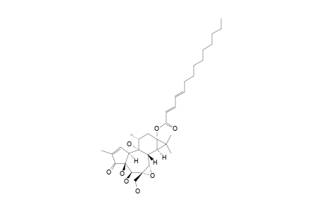 P_SIMPLEX_SUBTOXIN_B;6-ALPHA,7-ALPHA-EPOXY-4-BETA,5-BETA,9-ALPHA,20-TETRAHYDROXY-13-ALPHA-(2-E,4-E)-TETRADECA-2,4-DIENOYL-1-TIGLIEN-3-ONE