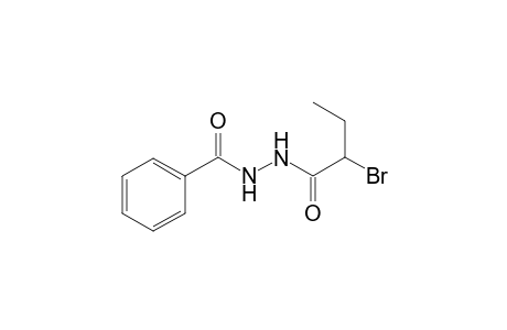 Benzoic acid N'-(2-bromo-butyryl)-hydrazide